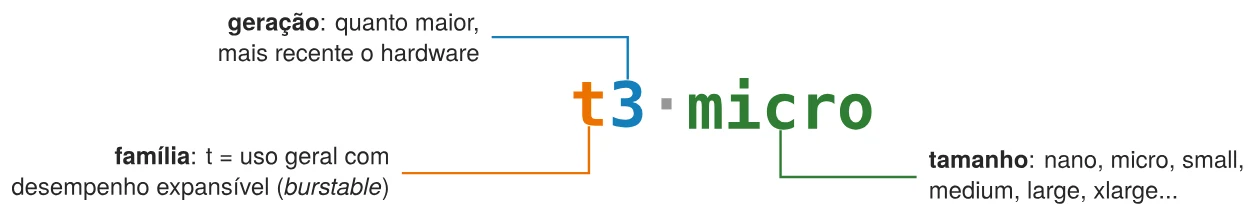 Como ler o nome de um tipo de instância