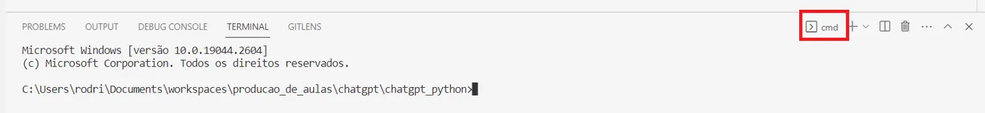 Painel do terminal do VS Code com o tipo de terminal "cmd" destacado no canto superior direito