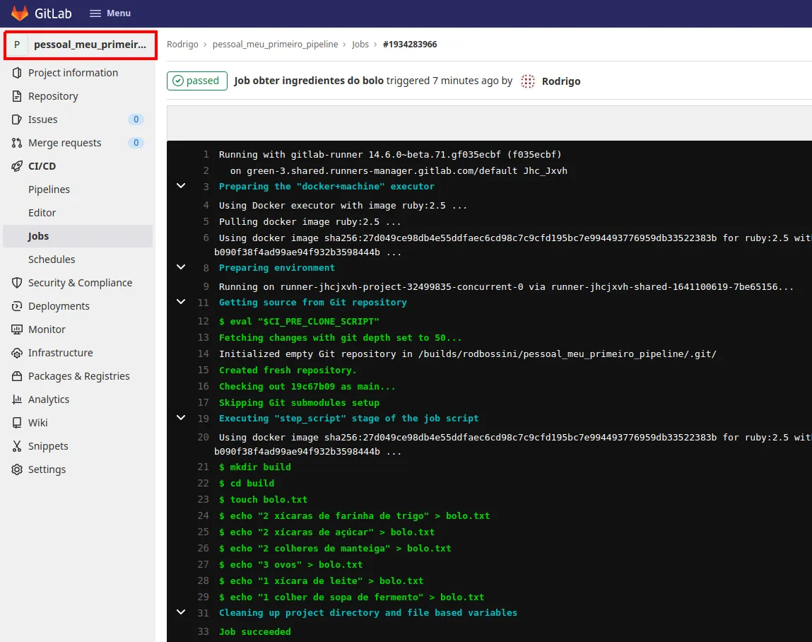 Log de um Job com o nome do projeto destacado no canto superior esquerdo do menu lateral