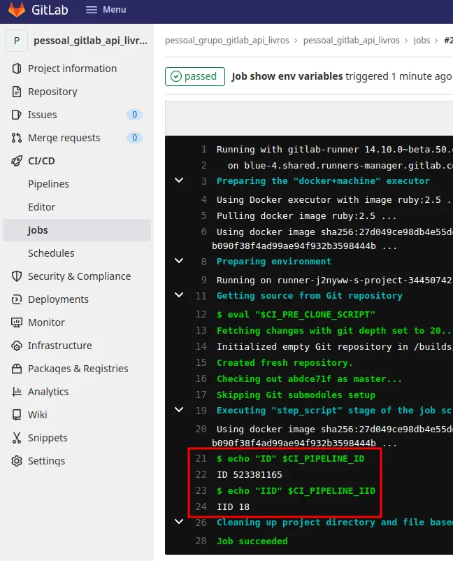 Log do job show env variables exibindo as linhas ID e IID com seus valores