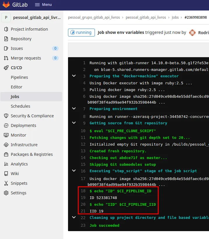 Log da segunda execução do job show env variables com valores de ID e IID diferentes dos anteriores