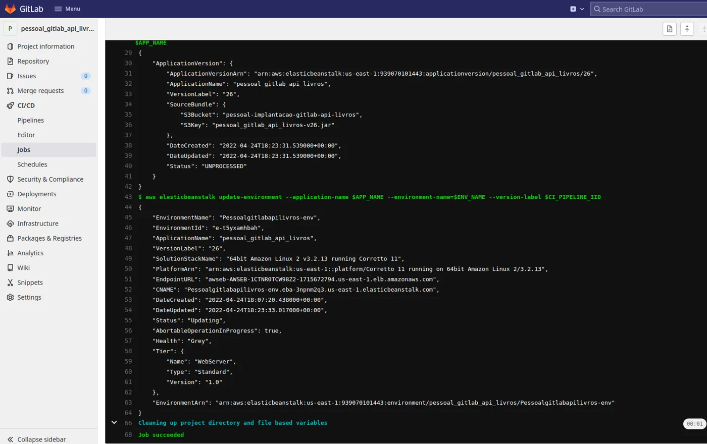 Log do job deploy com a saída JSON de create-application-version e de update-environment