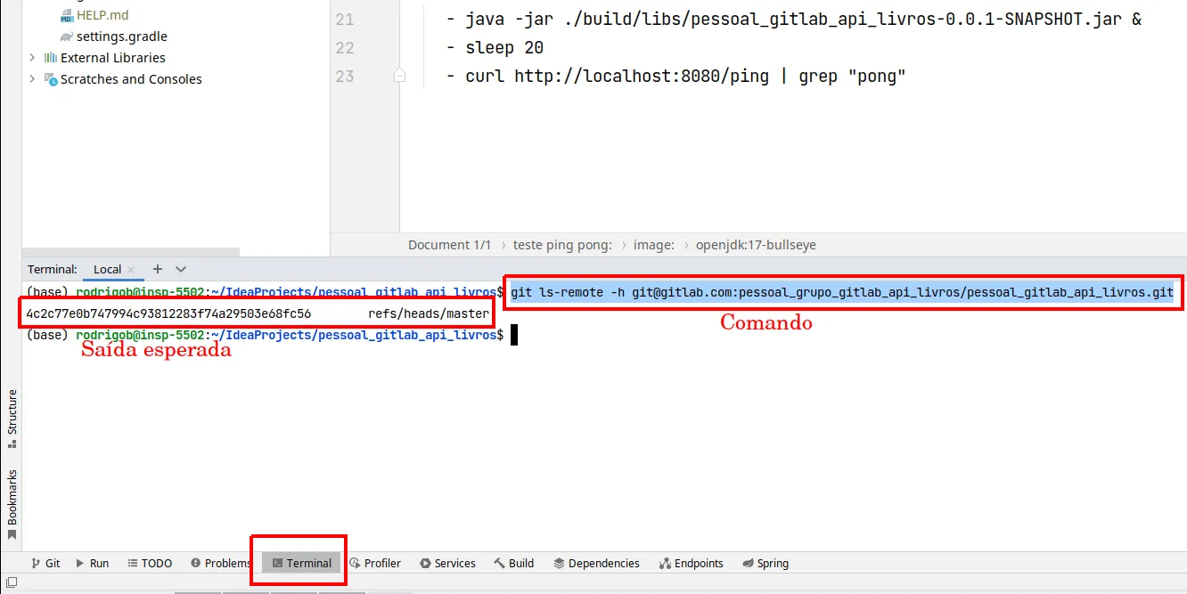 Terminal do IntelliJ com o comando git ls-remote -h e a resposta listando o hash da branch remota