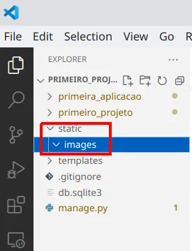 Explorer do VS Code com a subpasta static/images em destaque