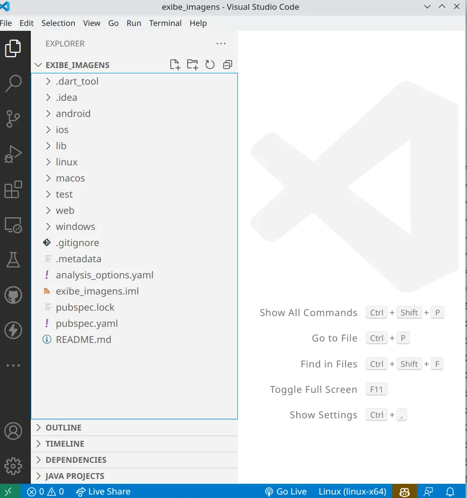 VS Code com a pasta exibe_imagens aberta no Explorer, mostrando as pastas android, ios, lib, linux, macos, test, web, windows e o arquivo pubspec.yaml