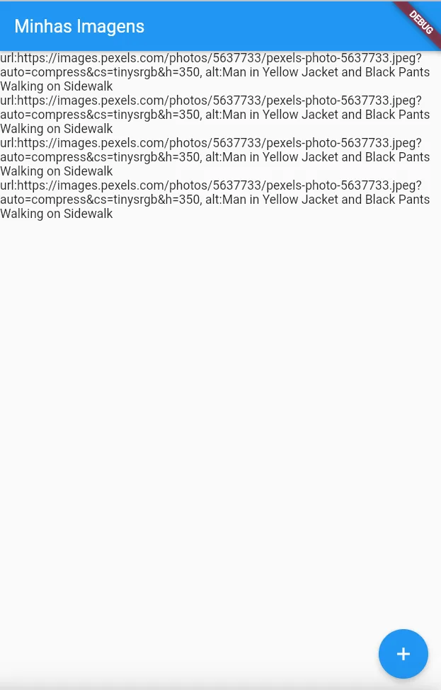 Aplicação "Minhas Imagens" exibindo várias linhas de texto repetidas, cada uma com a url e o alt da mesma foto
