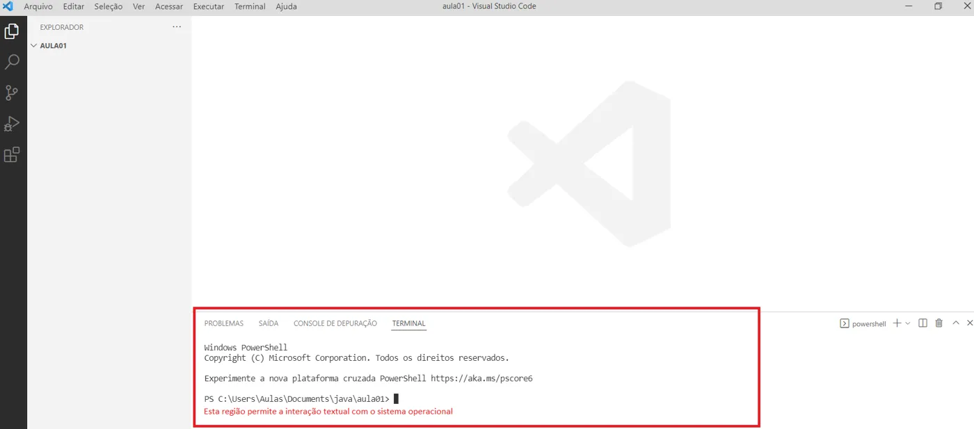 VS Code com o painel do terminal aberto na parte inferior