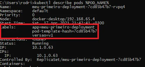 Saída do kubectl describe pods com os rótulos app=meu-primeiro-deployment, pod-template-hash e versao=v1 destacados