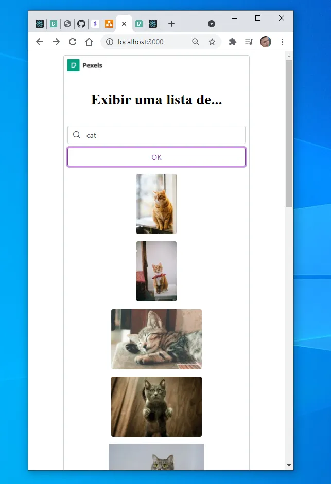 Janela estreita do navegador com as fotos de gatos empilhadas em uma coluna