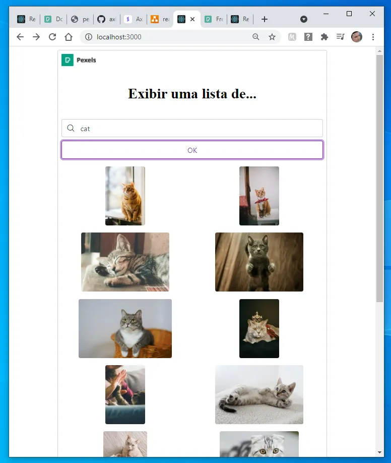 Janela média com as fotos de gatos em duas colunas