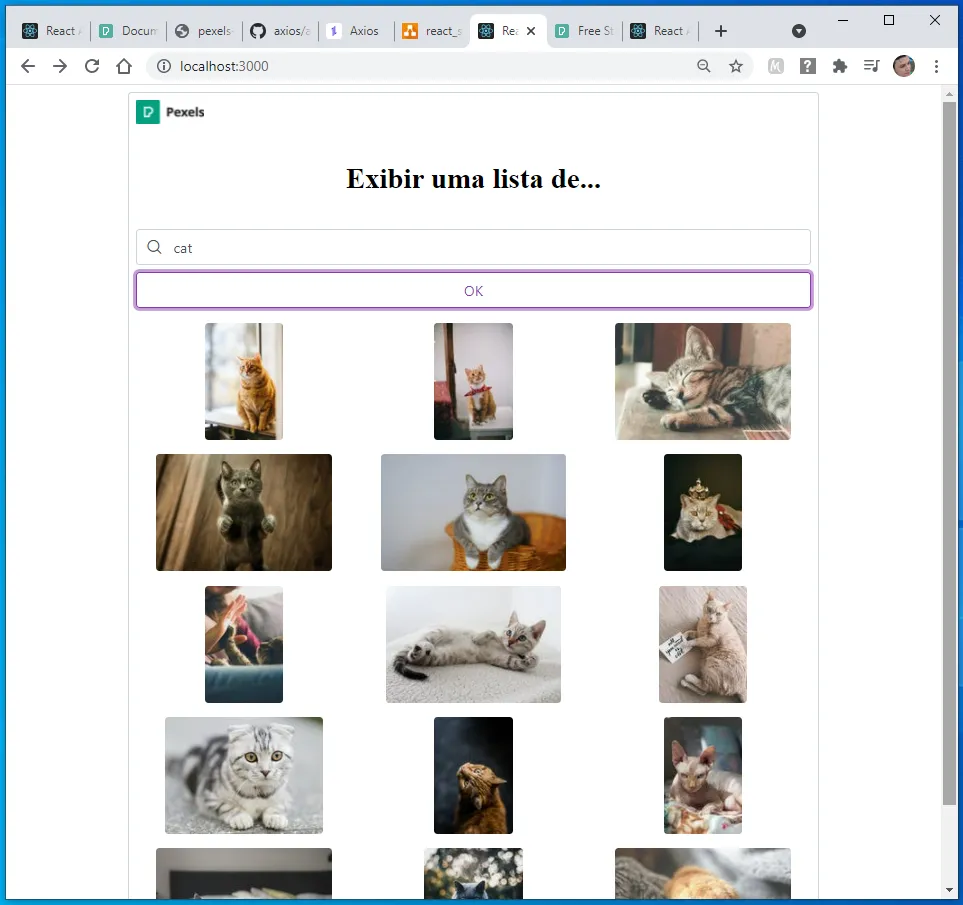 Janela grande com as fotos de gatos em três colunas