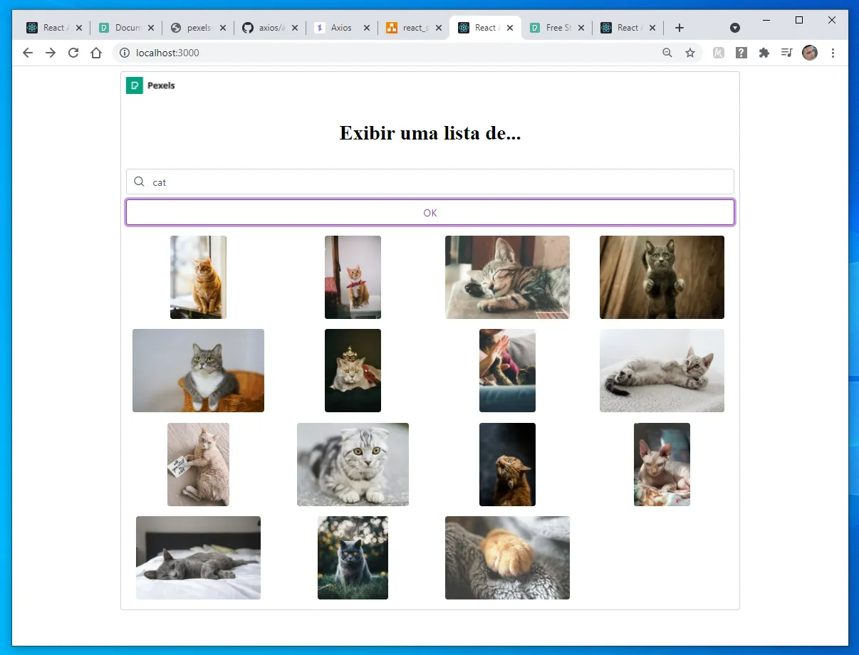 Janela extragrande com as fotos de gatos em quatro colunas