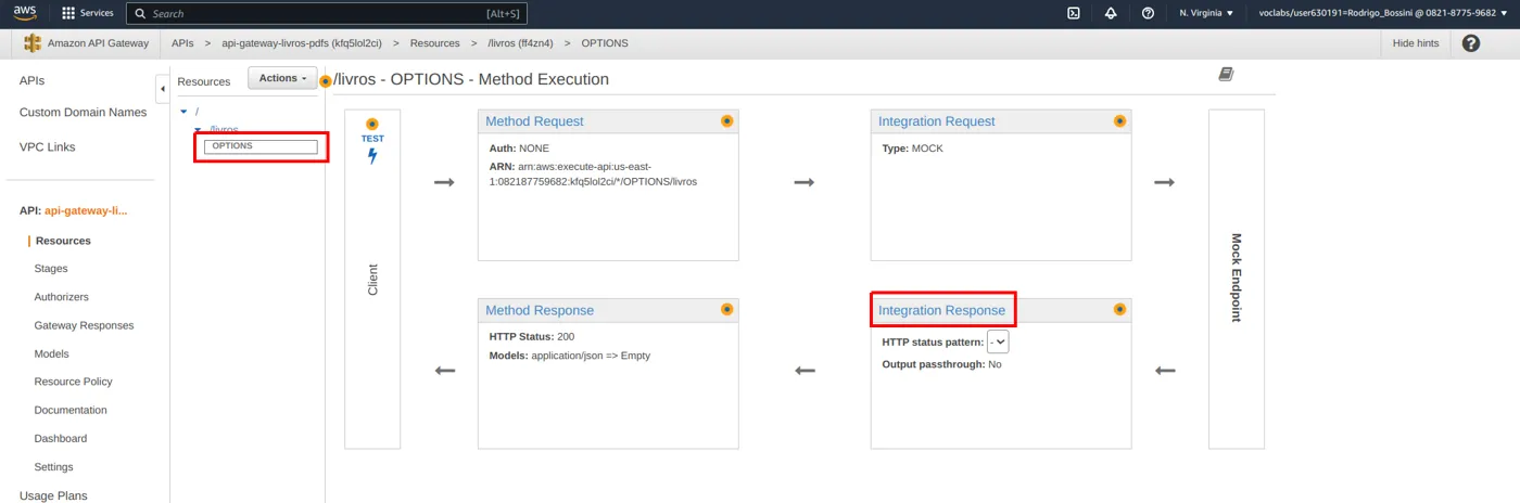 Método OPTIONS de /livros selecionado com o quadro Integration Response destacado